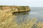 Остров Березань (2)